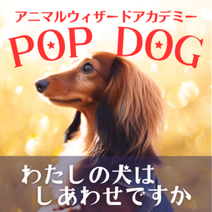 アニマルウィザードアカデミーPOP DOG