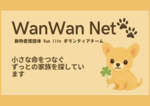 ボランティアチーム Wan Wan Net