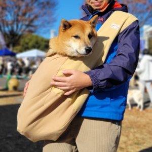 ラフィンドッグ
